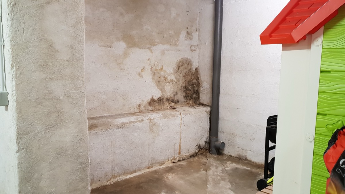 Infiltrations d'eau - Expertise humidité à Châteauroux